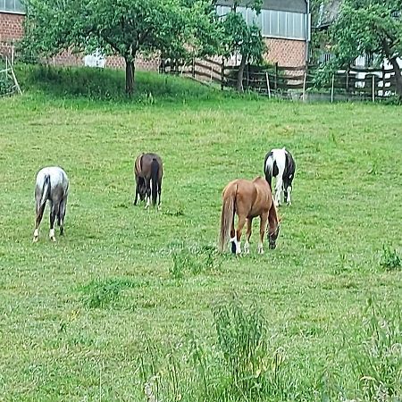 Ferien Auf Dem Land Apartamento Warstein Exterior foto