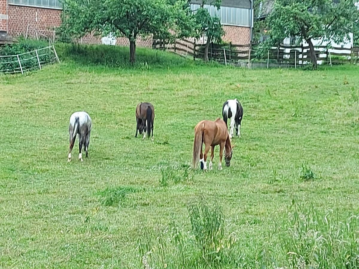 Ferien Auf Dem Land Apartamento Warstein Exterior foto