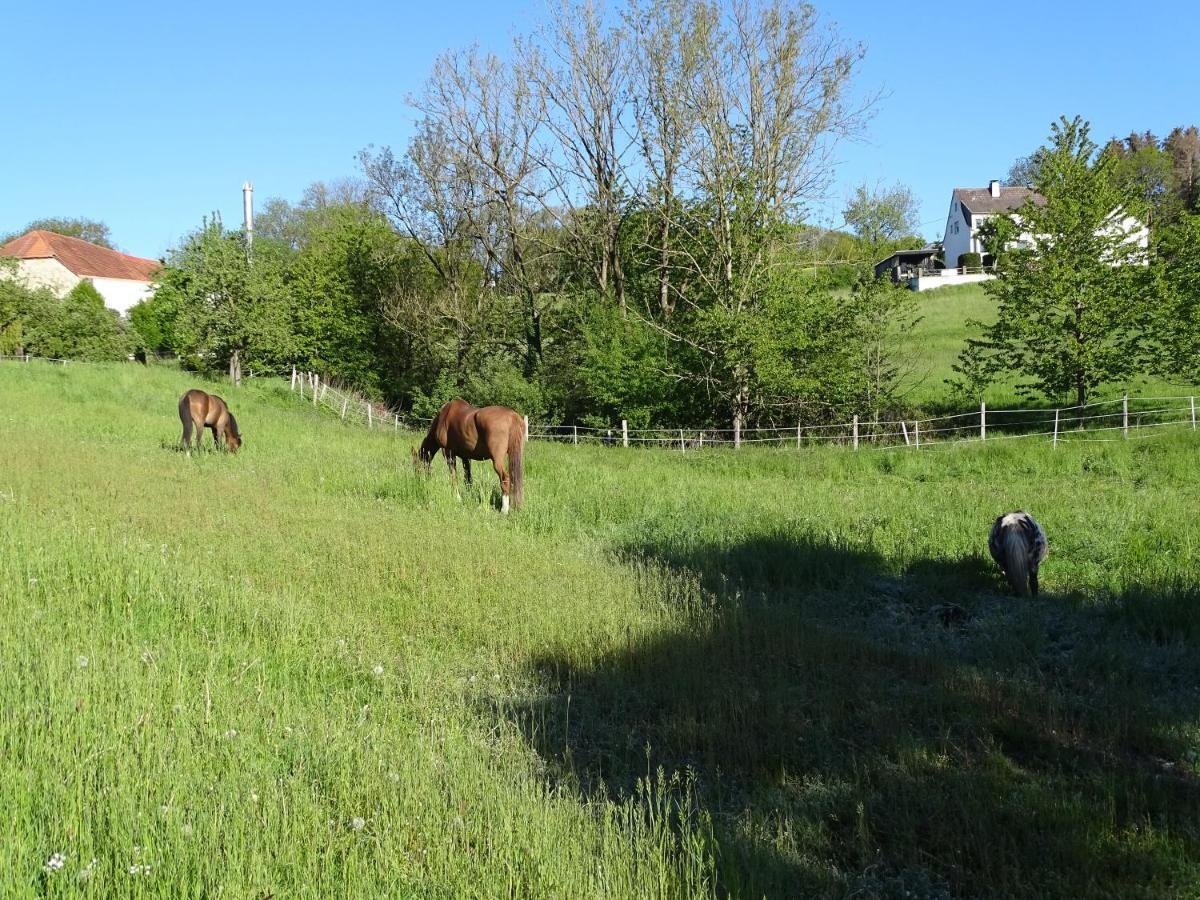 Ferien Auf Dem Land Apartamento Warstein Exterior foto